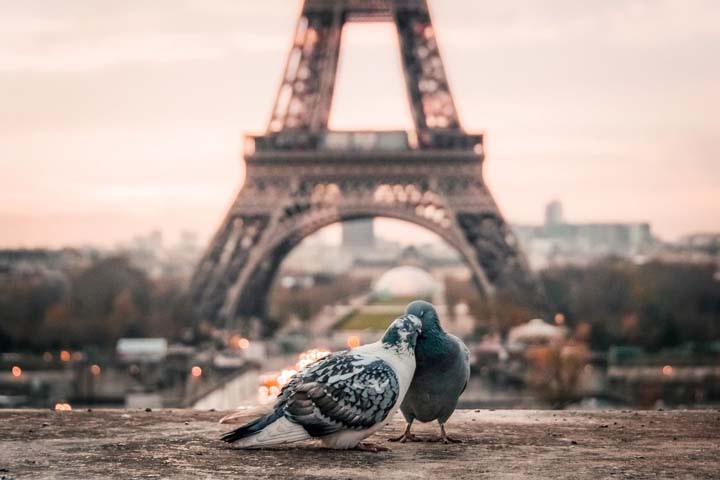 3 jours au Petit Oberkampf Hôtel & Spa ****